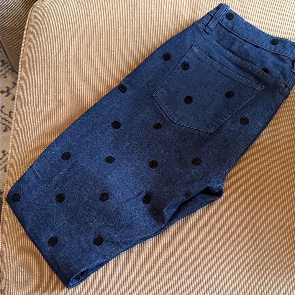 J. Crew Blue Polka Dot Women Jeans